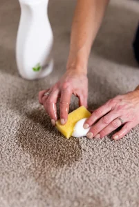 برای تمیز شدن موکت چه باید کرد