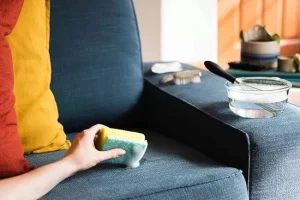 برای شستن مبل پارچه‌ای در منزل از چه شوینده ای استفاده می کنید؟