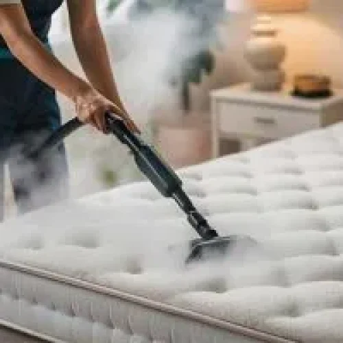 شست و شوی خوشخواب در اندیشه