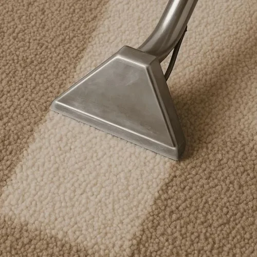 موکت شویی در اندیشه